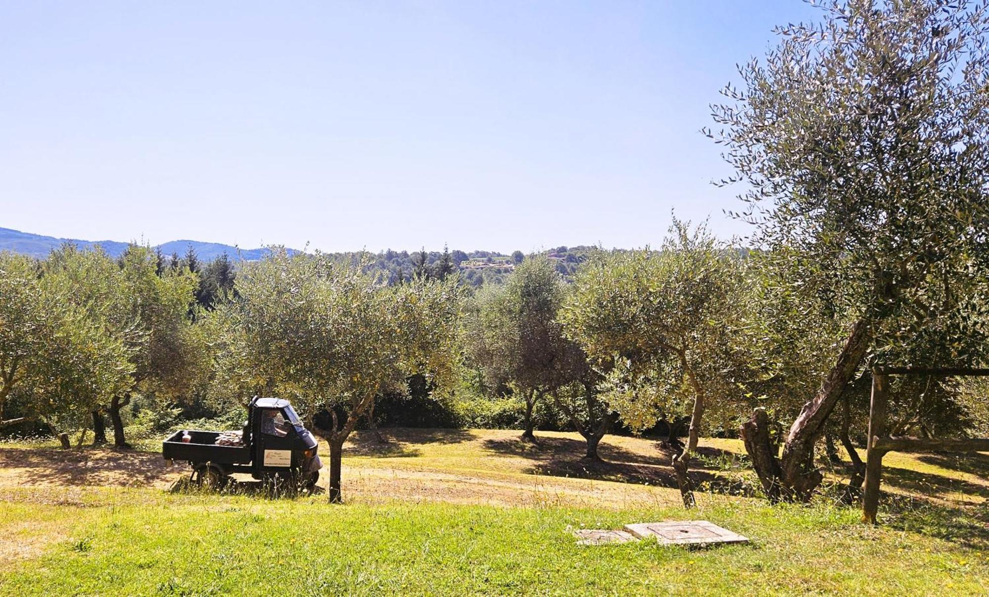 Pian Della Bandina Apartman Città della Pieve Kültér fotó
